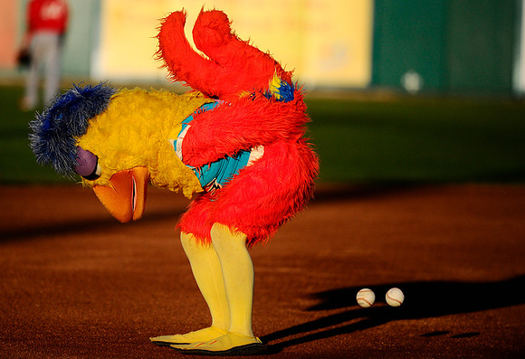Chicken or the egg