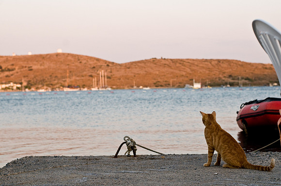 Bodrum-34-15