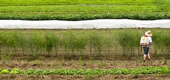 HurricaneFlatsFarm-1